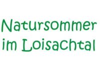 Bild 1 Bild 1