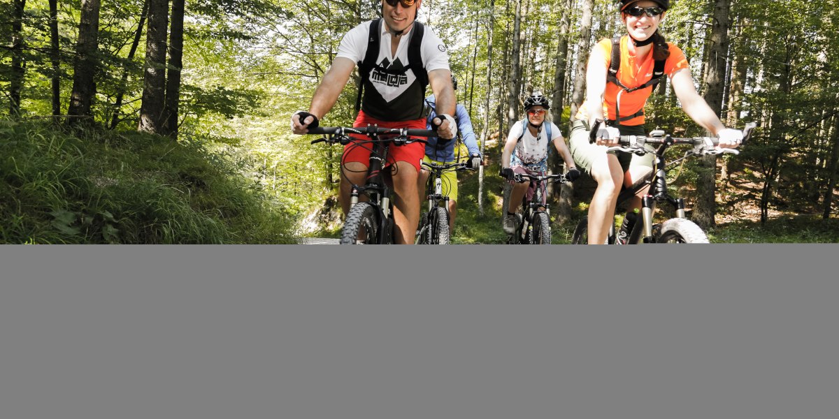 Mountainbike_Sport_Herzogstand_13-TKujat (46), © Tourist Information Kochel a. See, Th. Kujat Mountainbike_Sport_Herzogstand_13-TKujat (46), © Tourist Information Kochel a. See, Th. Kujat