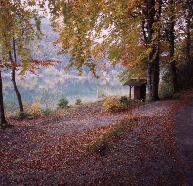 Von Urfeld nach Sachenbach, © Tölzer Land Tourismus Von Urfeld nach Sachenbach, © Tölzer Land Tourismus
