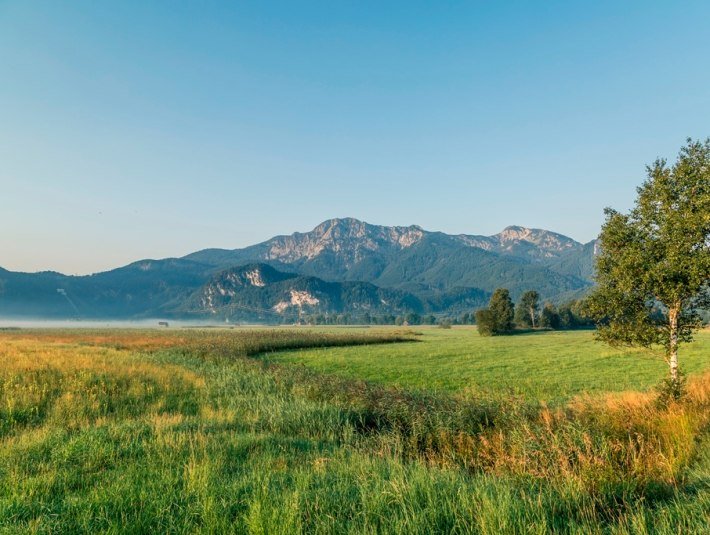 Rundfahrt im Loisach-Kochelseemoor, © Tourist Information Kochel a. See, Fotograf Thomas Kujat Rundfahrt im Loisach-Kochelseemoor, © Tourist Information Kochel a. See, Fotograf Thomas Kujat