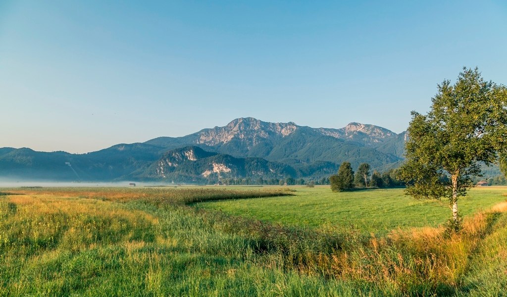 Rundweg durch das Loisach-Kochelsee-Moor, © Tourist Information Kochel a. See, Fotograf Thomas Kujat Rundweg durch das Loisach-Kochelsee-Moor, © Tourist Information Kochel a. See, Fotograf Thomas Kujat
