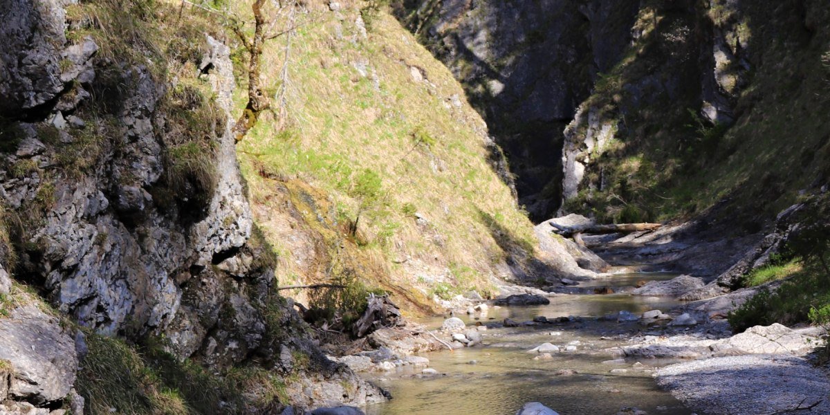 Dainingsbach-Schlucht am Walchensee, © Tourist Information Kochel a. See Dainingsbach-Schlucht am Walchensee, © Tourist Information Kochel a. See