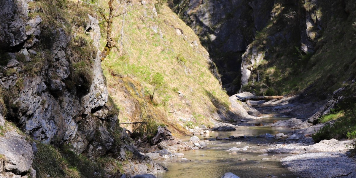 Dainingsbach-Schlucht am Walchensee, © Tourist Information Kochel a. See Dainingsbach-Schlucht am Walchensee, © Tourist Information Kochel a. See