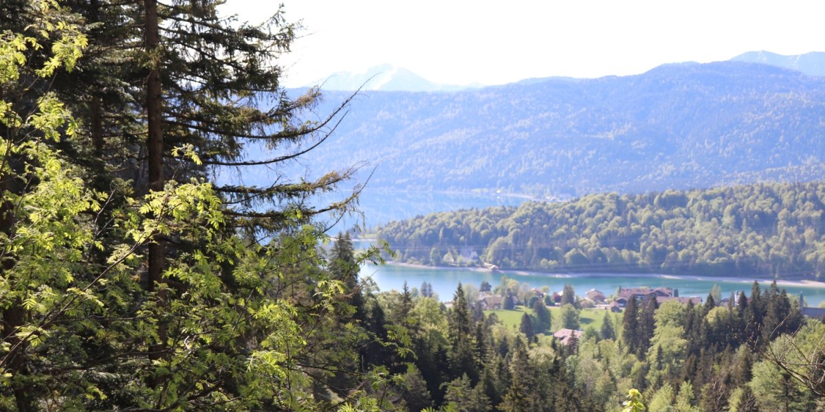 Blick von der Dainingsbach-Schlucht auf den Walchensee, © Tourist Information Kochel a. See Blick von der Dainingsbach-Schlucht auf den Walchensee, © Tourist Information Kochel a. See