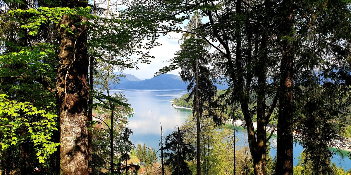 Aussicht vom Gamsreibnweg über den Walchensee, © Tourist Information Kochel a. See Aussicht vom Gamsreibnweg über den Walchensee, © Tourist Information Kochel a. See