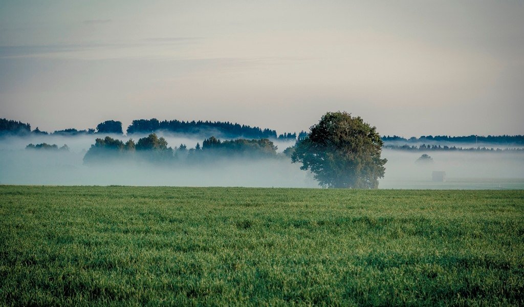 Rundweg durch das Loisach-Kochelsee-Moor, © Tourist Information Kochel a. See, Fotograf Thomas Kujat Rundweg durch das Loisach-Kochelsee-Moor, © Tourist Information Kochel a. See, Fotograf Thomas Kujat