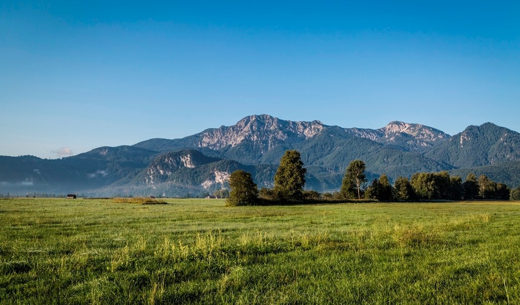 Rundfahrt im Loisach-Kochelseemoor, © Tourist Information Kochel a. See, Fotograf Thomas Kujat