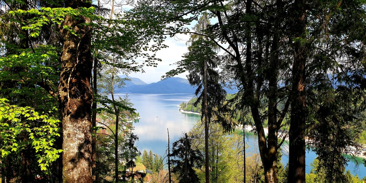 Aussicht vom Gamsreibnweg &uuml;ber den Walchensee, &copy; Tourist Information Kochel a. See
