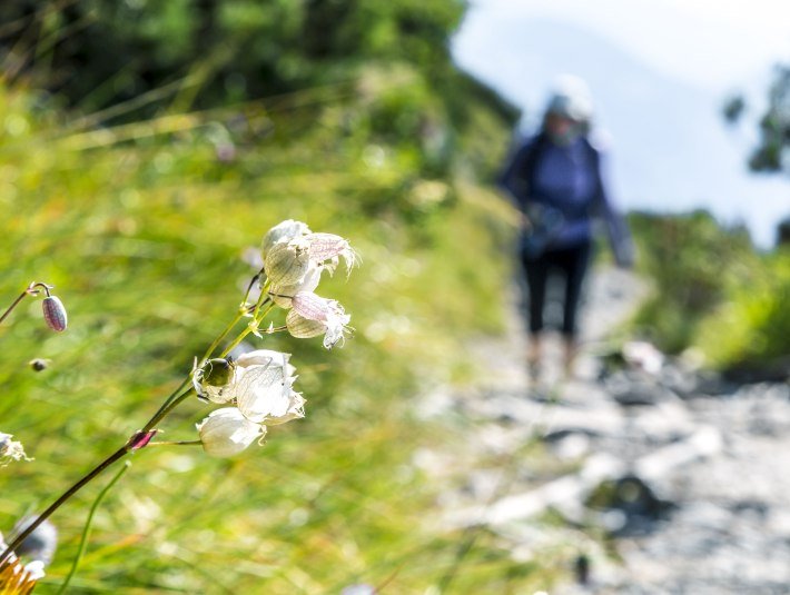 Kleine Wanderung Walchensee, © Tourist Information Kochel a. See