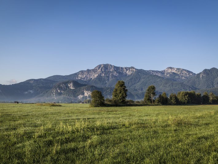 Das Loisach-Kochelsee-Moor zwischen Kochel a. See und Benediktbeuern, &copy; Tourist Information Kochel a. See, Fotograf Thomas Kujat