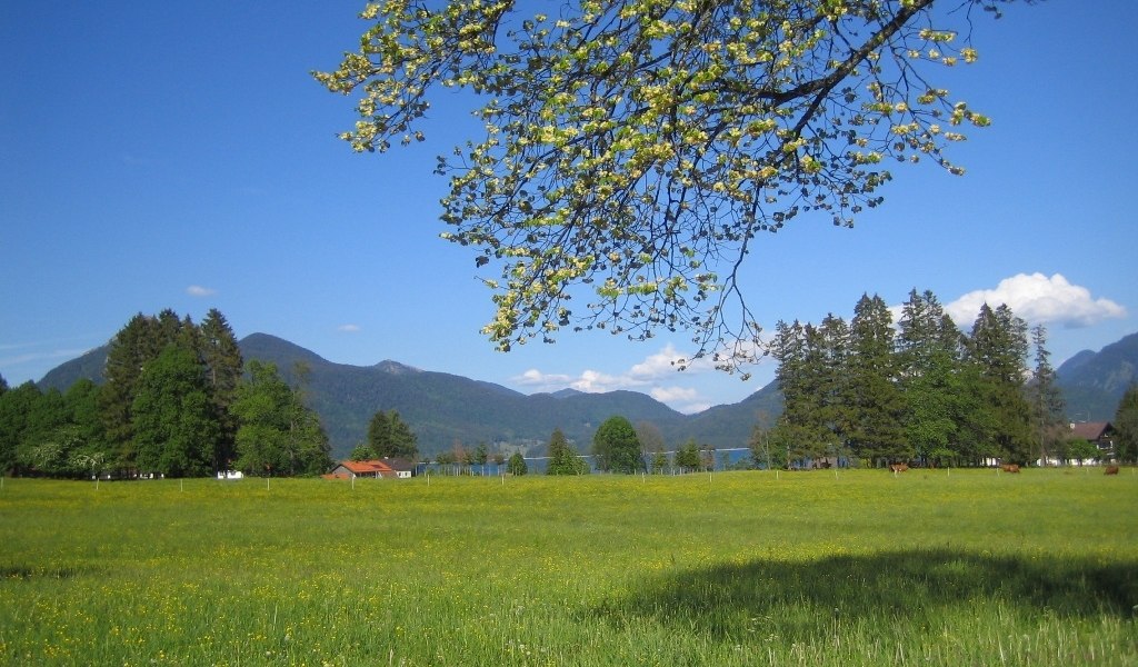 Zur Walchensee-Schlucht, &copy; T&ouml;lzer Land Tourismus
