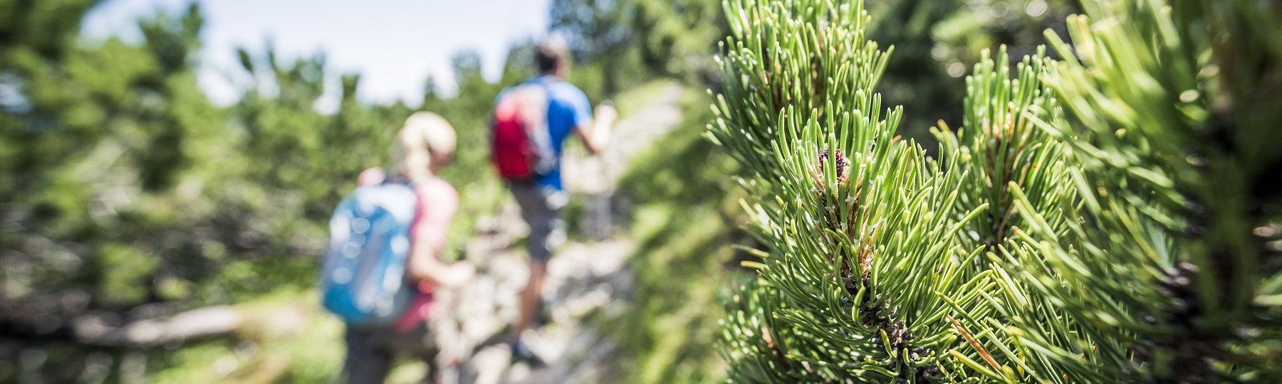 Wanderer Herzogstand, &copy; Tourist Information Kochel a. See, Fotograf: Th. Kujat