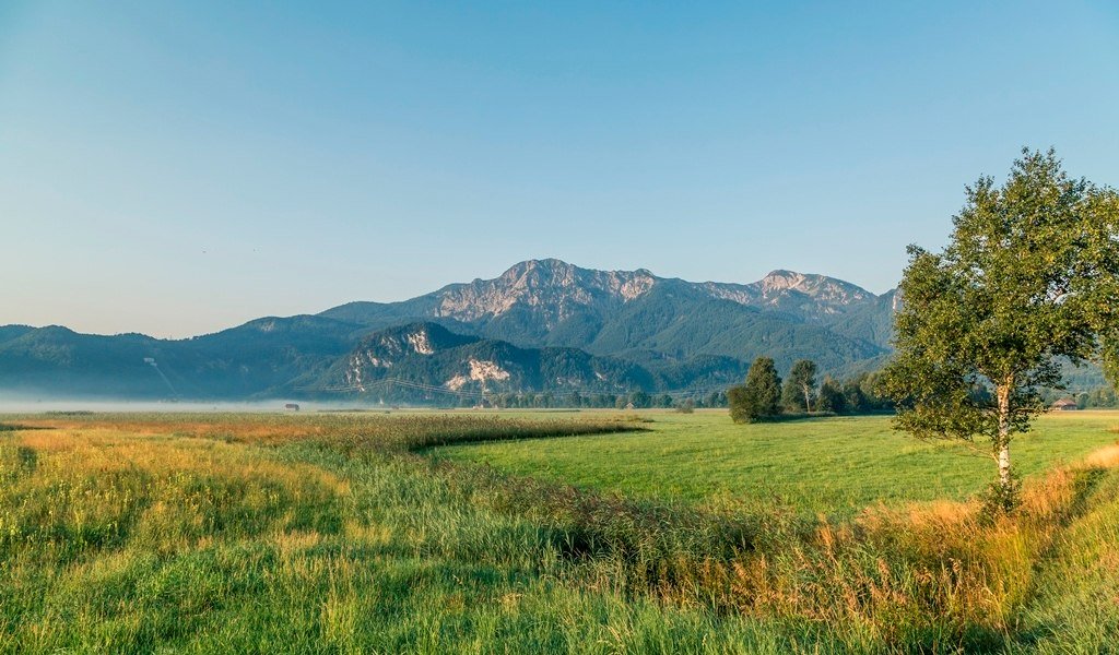 Rundweg durch das Loisach-Kochelsee-Moor, © Tourist Information Kochel a. See, Fotograf Thomas Kujat