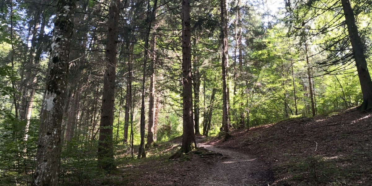 Lainbach Wasserfall Runde, &copy; Tourist Information Kochel a. See