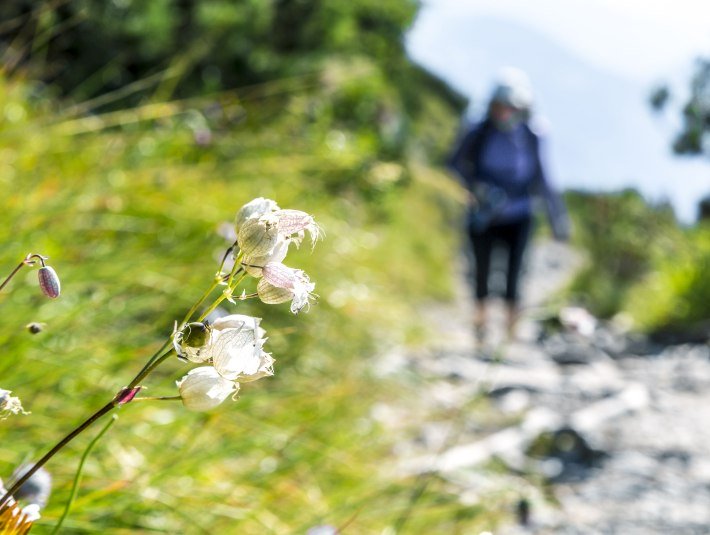 Kleine Wanderung Walchensee, &copy; Tourist Information Kochel a. See