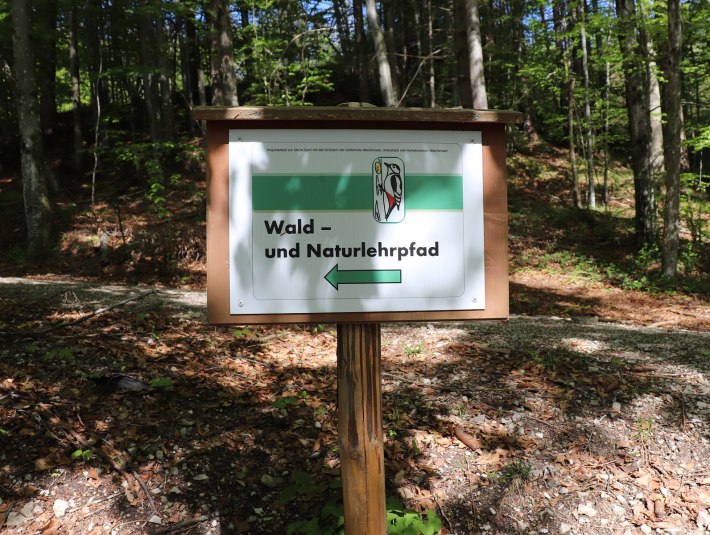 Tafel Waldlehrpfad, © Tourist Information Kochel a. See, Foto: K.Bauer