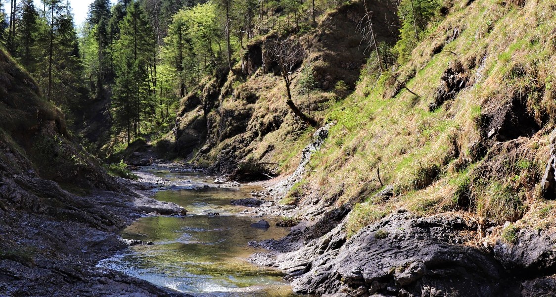 Dainingsbach-Schlucht am Walchensee, © Tourist Information Kochel a. See