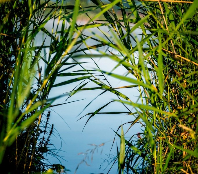 Eichsee, © Tourist Information Kochel a. See, Fotograf Thomas Kujat