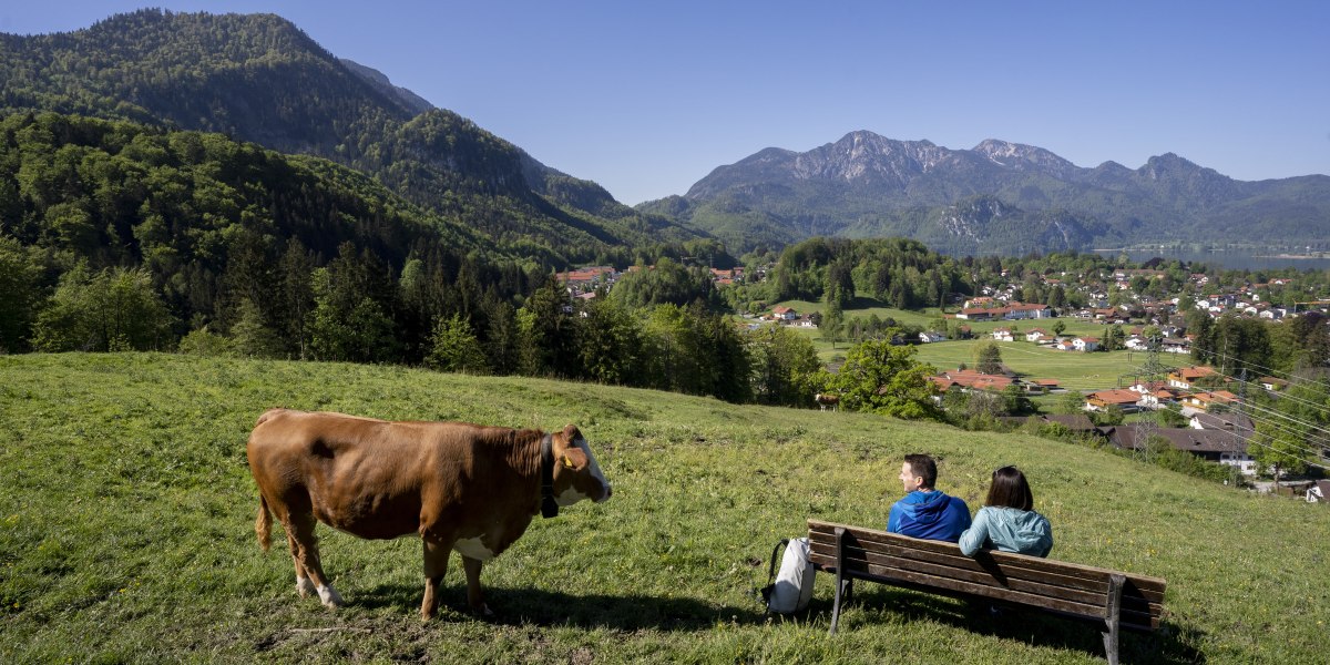 © Zwei-Seen-Land Kochelsee Walchensee, Tourist Info, Fotograf Bernd Ritschel (25), © Tourist Information Kochel a. See; B. Ritschel