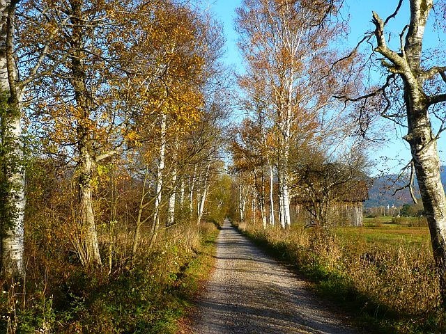 Loisach-Kochelsee-Moos im Herbst, © Tölzer Land Tourismus
