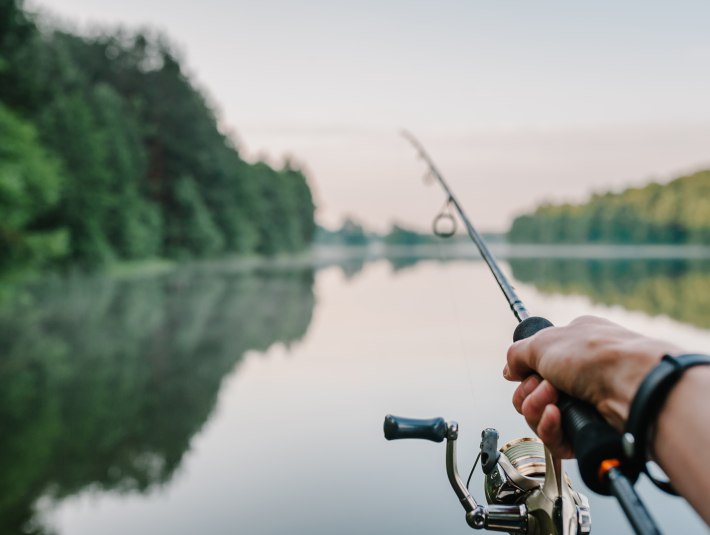 Artikelbild, &copy; Shutterstock