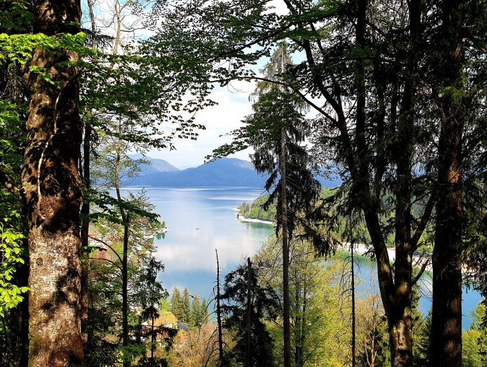 Aussicht vom Gamsreibnweg über den Walchensee, © Tourist Information Kochel a. See