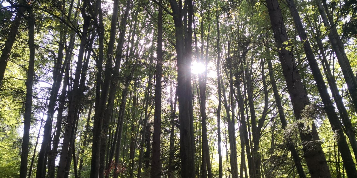 Lainbach Wasserfall Runde, &copy; Tourist Information Kochel a. See